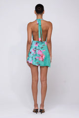Sheveta Bruna Dress in Clearwater