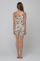 Sheveta Tilly Dress in Big Sky