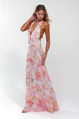 Sheveta Chelsea Maxi Dress in Aspen