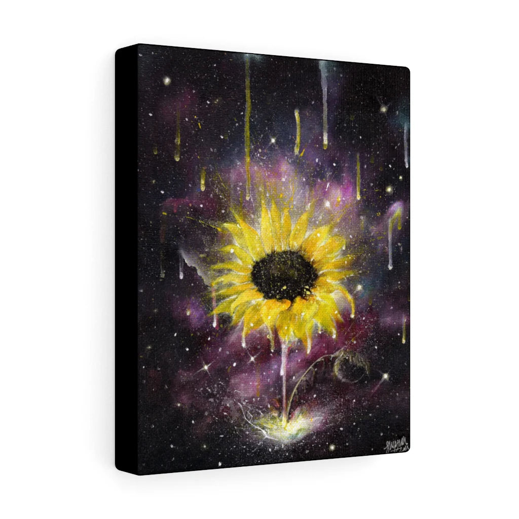 Reborn (Galatians 2:20) - Canvas